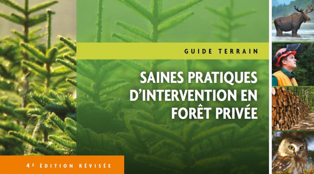 Guide saines pratiques d'intervention en forêt privée