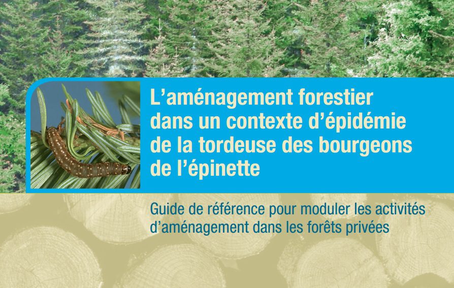 guide aménag. forest. contexte épidémie TBE2