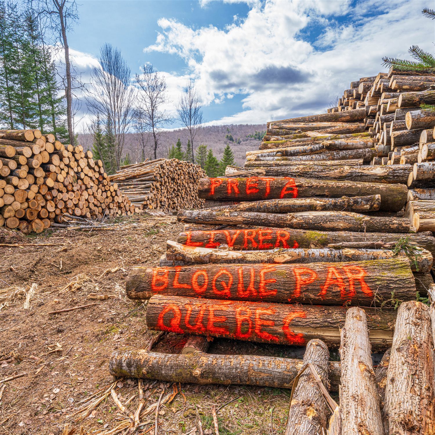 Empilement de billots de bois avec le slogan « Prêt à livrer, bloqué par Québec » peint dessus