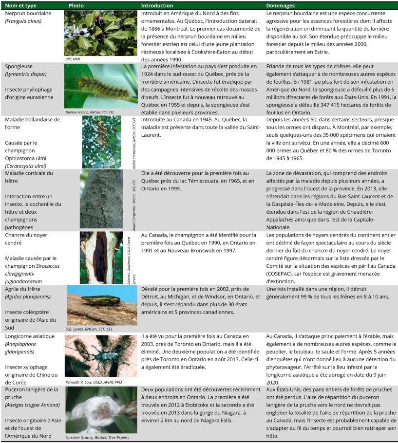 FCN-PLUS-2023-09-Especes-exotiques-envahissantes-tableau-2